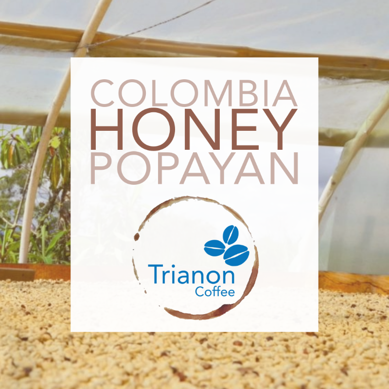 Colombia Honey Popayan Coffee product image 1x1